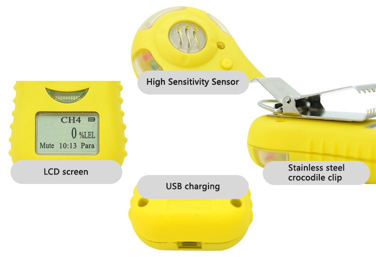 handheld h2s gas detector price