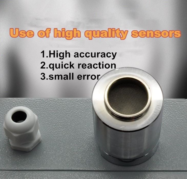 CO Gas Leak Detector Fixed Detector Voice Light Alarming